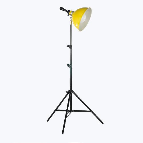 ��ǰ�̹���