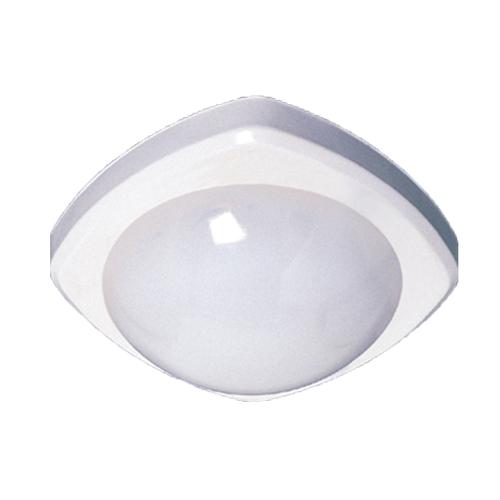 ��ǰ�̹���